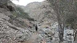 من المسيبات إلى الأحساء على ضفاف وادي جب - درب الحمير عبر وادي لحسا.