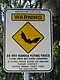 Australia: fruit bats, virus risk.