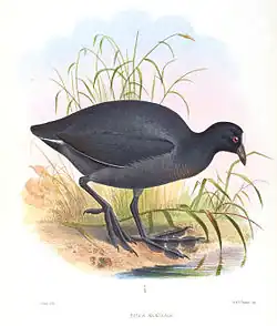 Illustration by جوزيف سميت, 1869