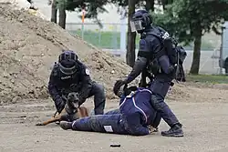 أفراد فرقة التدخل مع كلب مُهاجم