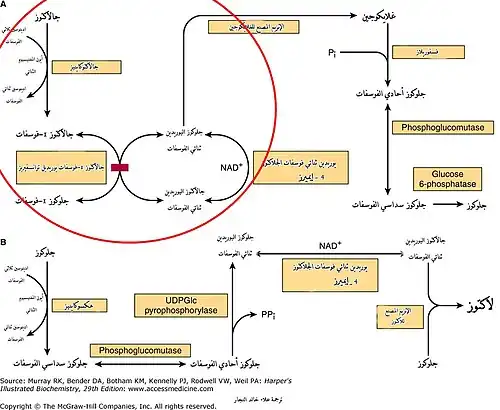 مكان الخلل