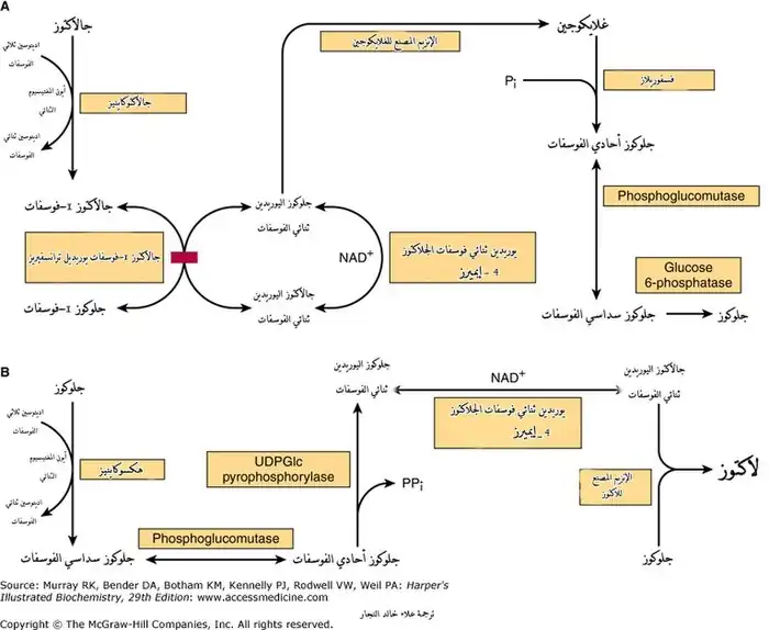 أيض الجلاكتوز