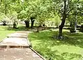 حديقة عمومية بمدينة أزرو