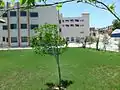 جانب من الحرم الجامعي