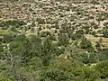 منظر عام لقرية فلسطينية نزحت خلال حرب 1948