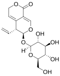 Gentiopicroside (gentiopicrin), a selected constituent of Gentiana