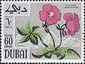 غرنوقي دموي&nbsp;[الإنجليزية](Geranium sanguineum)