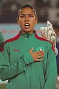 غزلان الشباك