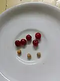 Fruits and seeds