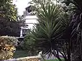 البيت الحكومي (الإدارة المركزية لحدائق الحيوان)