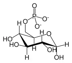 غلوكوز 6-فوسفات