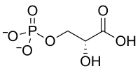 حمض 3-فوسفوغليسيريك