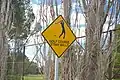 Australia: golf ball zone.