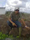 نباتات بالترا