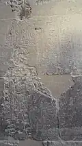“صورة النقش الهيروغليفي”
