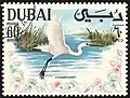 بلشون أبيض كبير(Ardea alba)