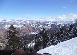 Snow-covered mountains and trees