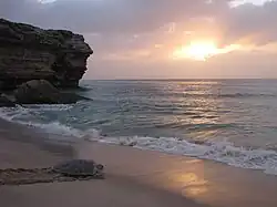 الشاطئ
