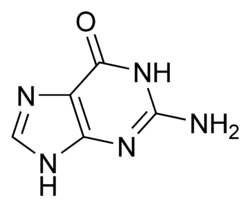 غوانين