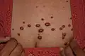 نقط من الجدرة