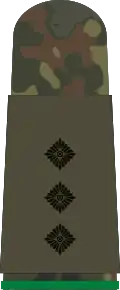 هاوبتمان (مشاة ميكانيكية)