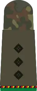 هاوبمان د (احتياطيات المشاة الميكانيكية)