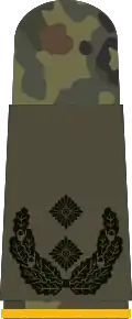 Oberstleutnant(Army reconnaissance)