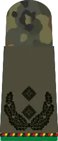 Oberstleutnant d.R.(Mech. infantry reserve)