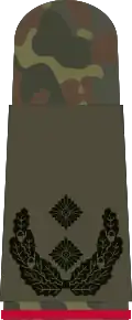 Oberstleutnant i.G.(Gen. staff service)
