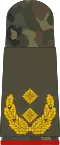 Generalmajor  (بدلة الحقل)