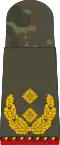 Generalmajor  (متقاعد)