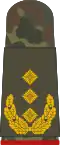 Generalleutnant  (بدلة الحقل)