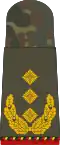 Generalleutnant  (متقاعد)