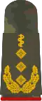 Generalober­stabsarzt(Human medicine)