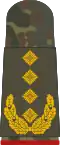 جنرال لواء (بدلة الحقل)
