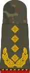 جنرال لواء (متقاعد)