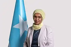 الدبلوماسية