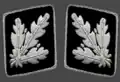 بقع Gorget 1942-1945 (Allgemeine SS و Waffen-SS)