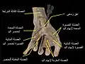 نفق رسغي