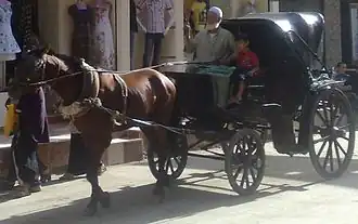 الحنطور ما زال يُستخدم كوسيلة للنقل والسياحة.