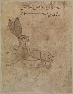 رسم توضيحي من القرن الحادي عشر إلى الثاني عشر لأرنبة من حيوانات ضائعة ، الفسطاط ، متحف متروبوليتان للفنون