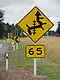 New Zealand: exceptional curves/ intersections/ R.R. x-ing situation.