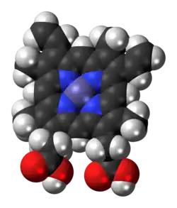 Space-filling model of the heme B complex