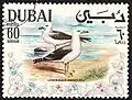 نورس سيبيري&nbsp;[الإنجليزية](Larus fuscus heuglini)