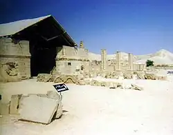 قصر هشام عام 1996