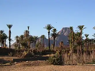 ولاية تمنراست