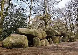 T-shaped Hunebed D27 in بورخر- أودورن, Netherlands