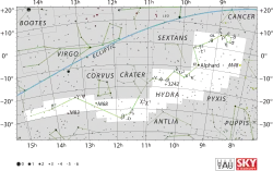 Hydra