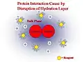 Hydration Layer