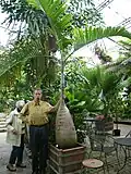 حديقة النباتات في berggarten